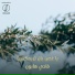 Fady Haroun feat. Yahia Alaa
