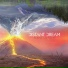 DISTΛNT DREΛM