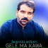 Shafi Ullah Safi