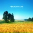 Landscape Sound