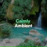 Quiet Meditation Music