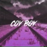 Coy Boy