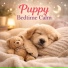 Dog Sleep Lab