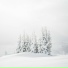 Nicholas Yee