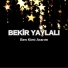 Bekir Yaylalı