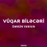 Vuqar Bileceri