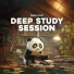 Panda Study, Panda Lofi, Panda Music