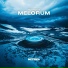 (Poshout - Russia In The Mix 004 2011-08-29)