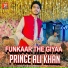 Prince Ali Khan