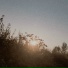 Kovay