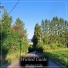 Реп