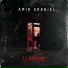 Amir Grabiel