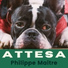 Philippe Maitre