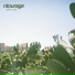 ntourage