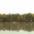 cowrey