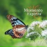 MOMENTO ESPÍRITA