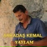 Arkadaş Kemal
