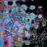 sydex.exe