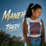 Tsedi