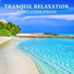 Relaxing Music Therapy, Spa Music Paradise