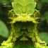 JUGO