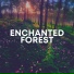 Nature Sounds Nature Music