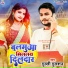 Gulli Gulshan