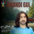 Shandi Gul