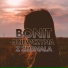 Bonit