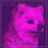 DJ Dirty Dog