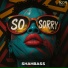 ShahBass