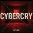 Cybercry group