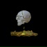 SKULLS