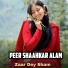 Peer Shaahkar Alam