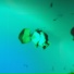 slendeerina