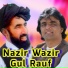 Nazir Wazir, Gul Rauf