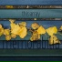 this:array