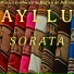 Ayllu