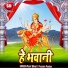 Punit Bihari