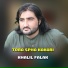 Khalil Falak
