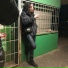 Zackavelli Archiv