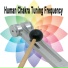 Human Chakra Tuning