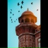 Syed Umer Farooq Shah