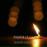 DAVID LOEVAN