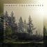 Hypnotic Therapy Music Consort
