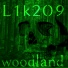 L1k209