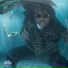 (41-44Hz) Gunna