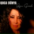 Aynur Sevimli