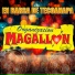 Organizacion Magallon