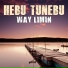 Hebu Tunebu